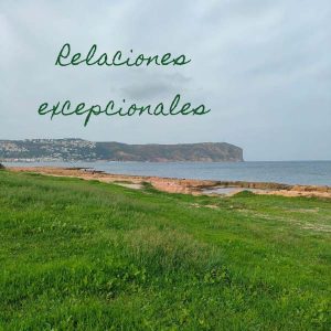 Relaciones excepcionales