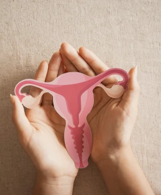 suelo pelvico manos sostienen utero | Programa de menopausia en Elche | Salud Meno 360 – UTL Clinic